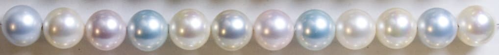 MULTI 229 ENTHUSE 1 228x228