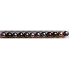 MULTI 235 MULTI CHOCOLATE 1 228x228