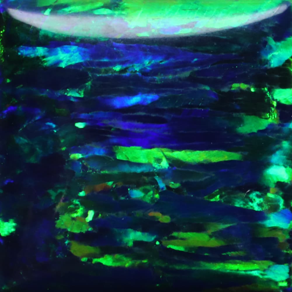 OP19-B - OP19-SQ1C-1-B