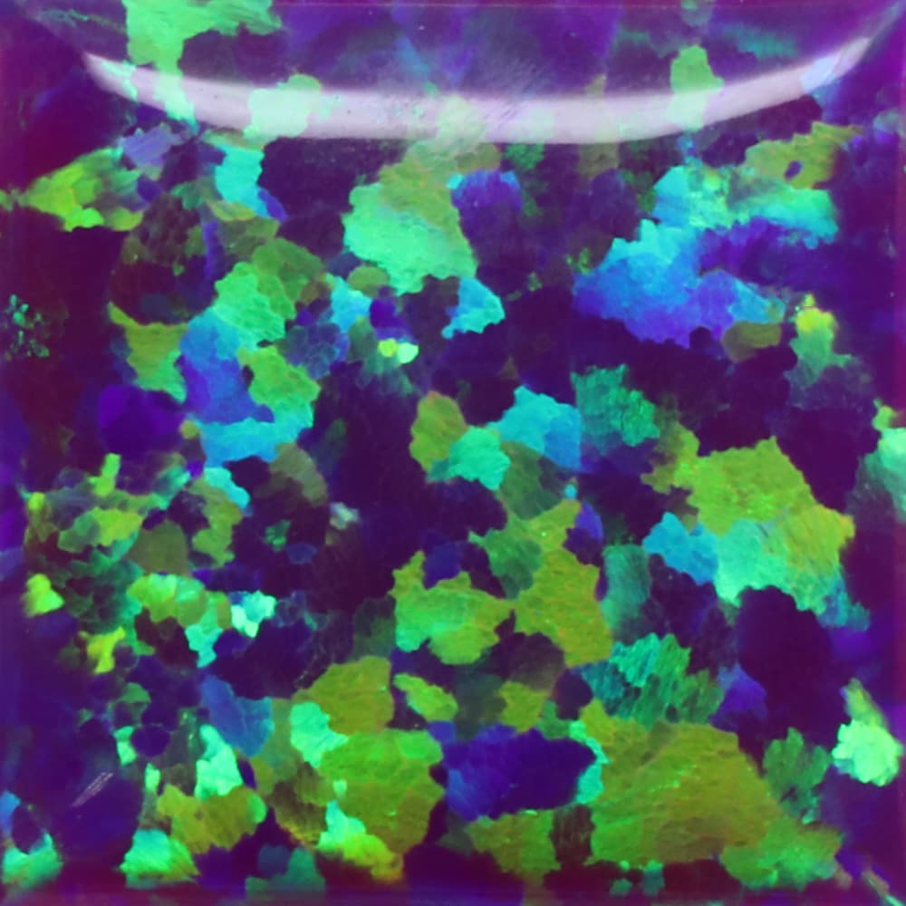OP41-A - OP41-SQ1C-1-A 
