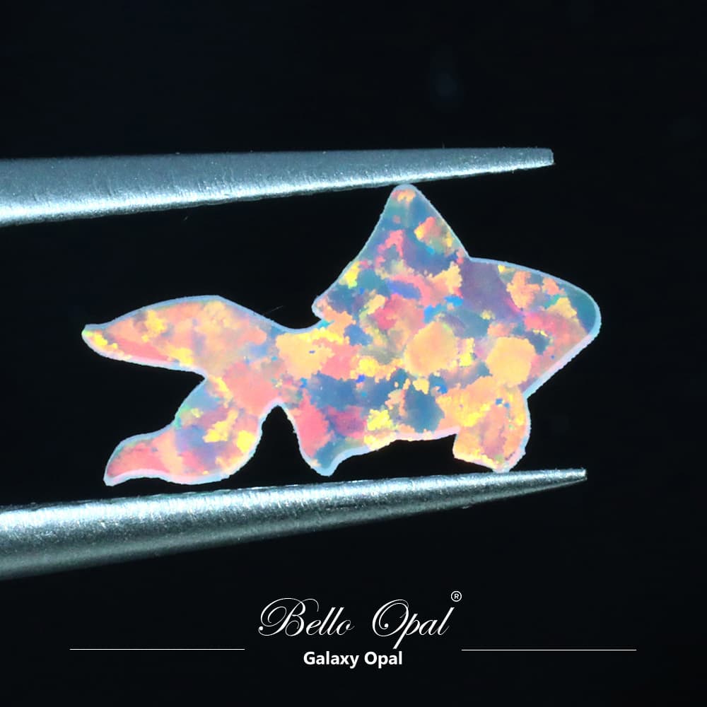 OP704-GOLDFISH3 - OP704-GOLDFISH3-4-A
