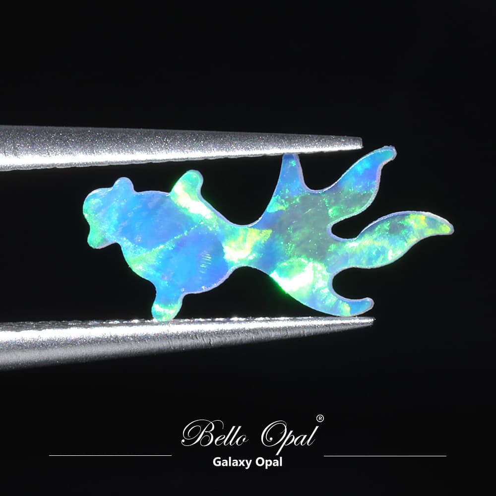 OP704-GOLDFISH4 - OP704-GOLDFISH4-4-A