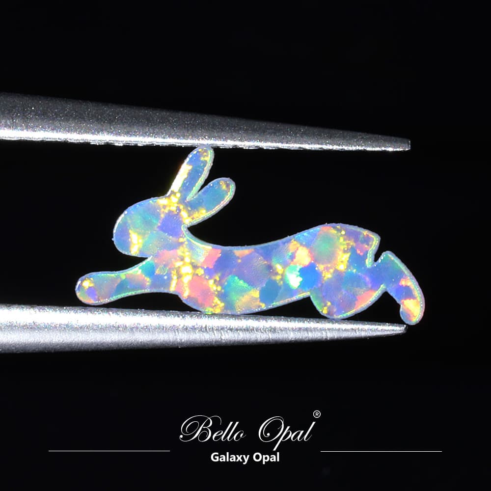 OP704-RABBIT2 - OP704-RABBIT2-4-A