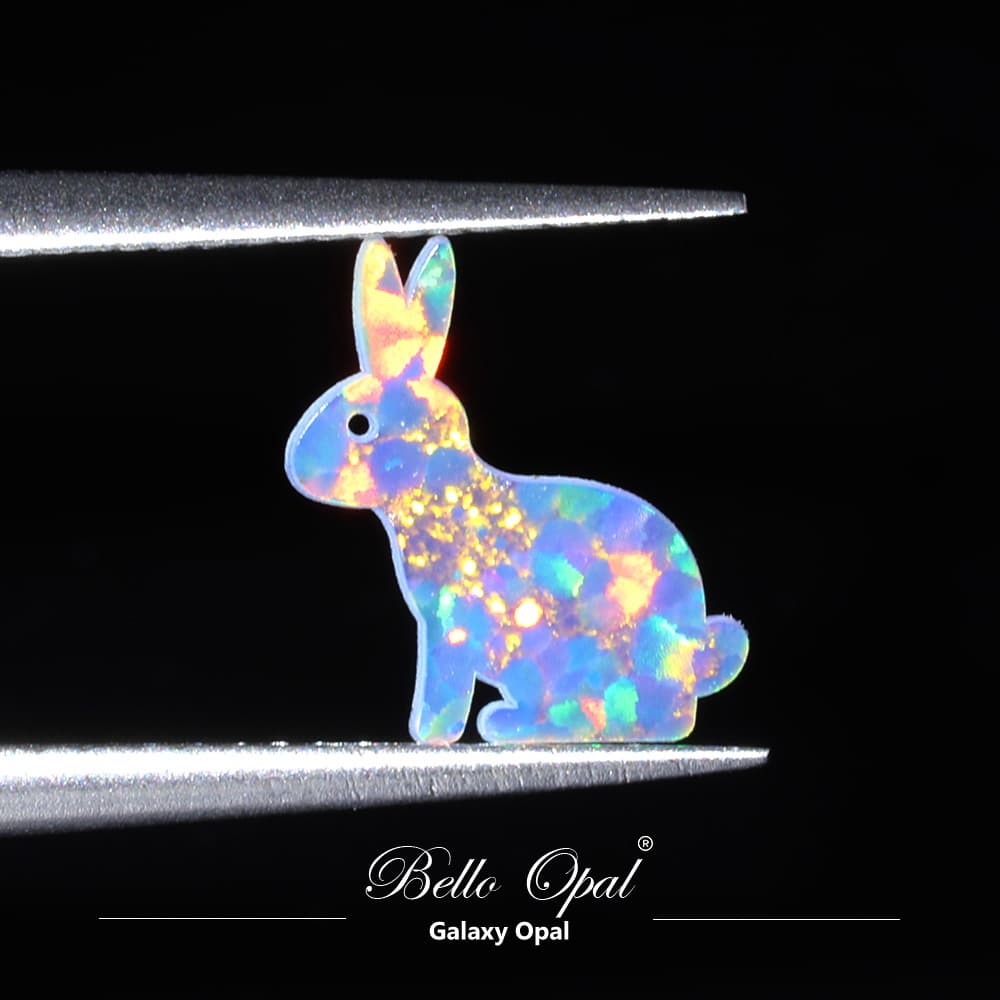 OP704-RABBIT3 - OP704-RABBIT3-4-A