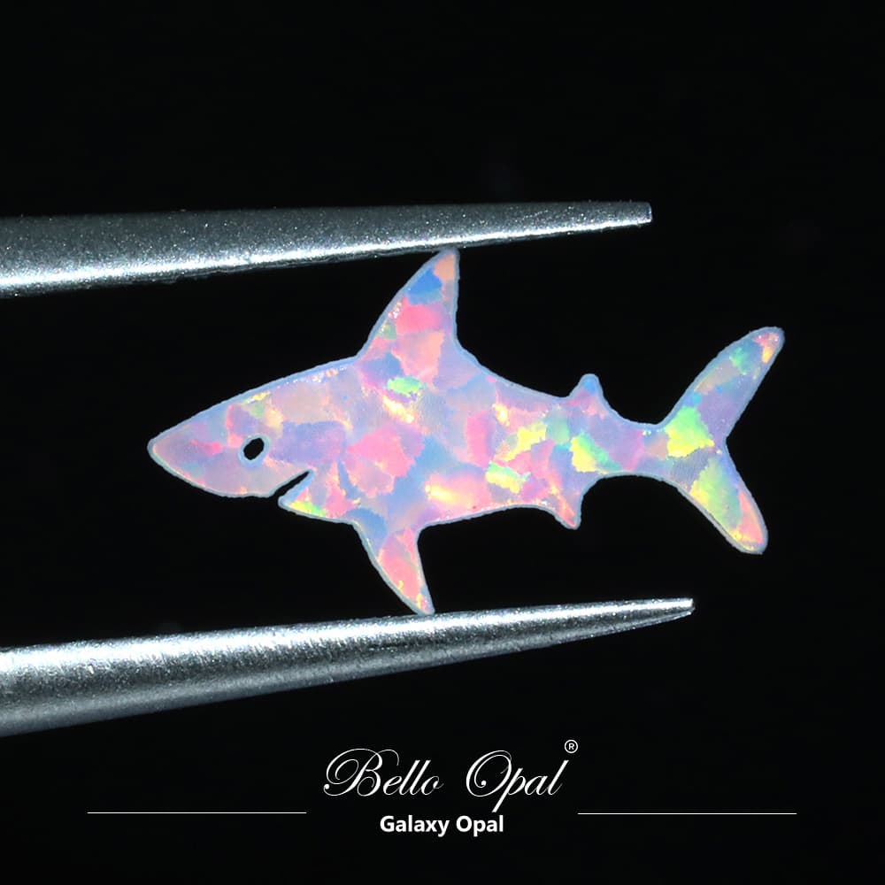 OP704-SHARK - OP704-SHARK-4-A