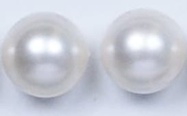 SP1 single-pearl pendant on fine chain with sculptural shell bail