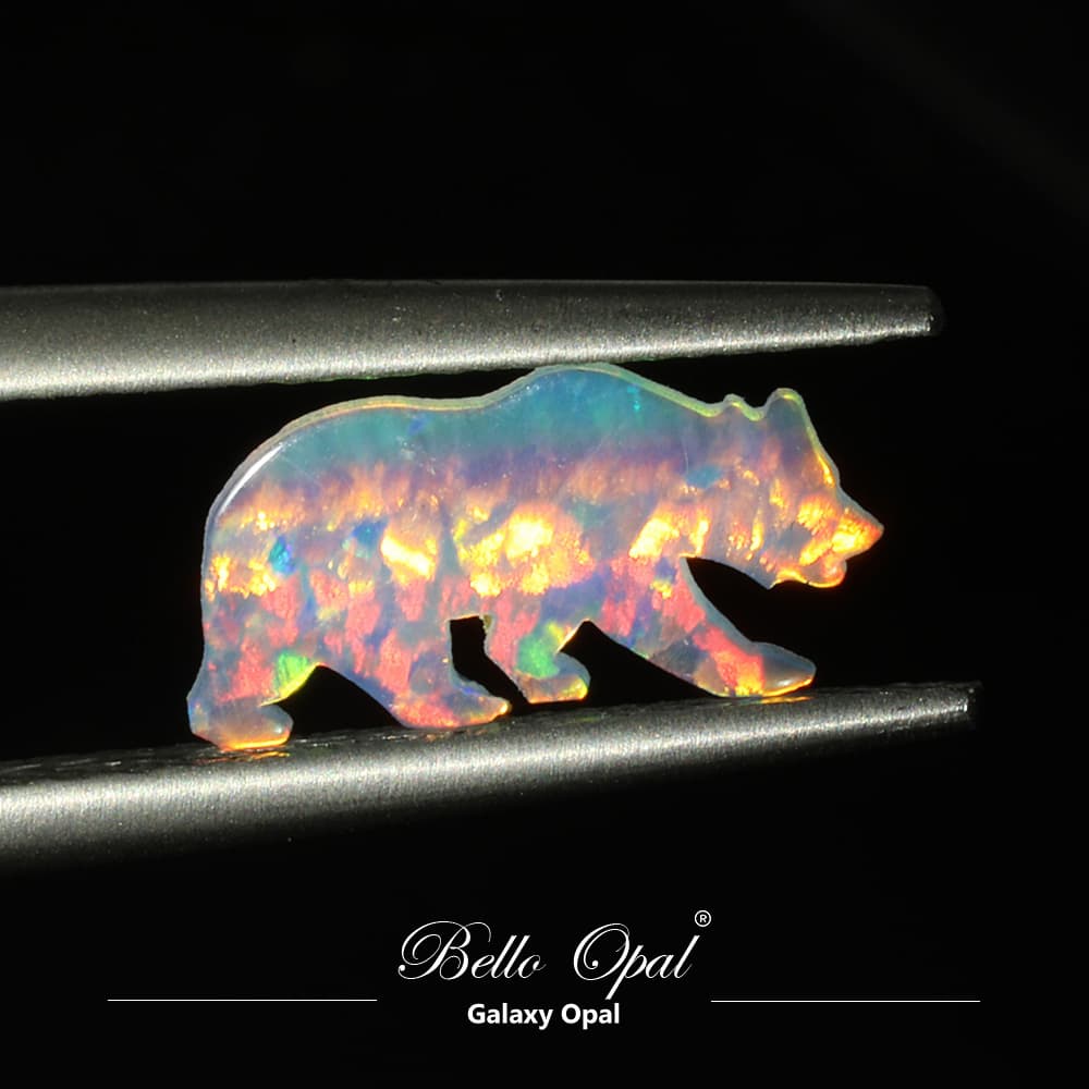 OP704-CALIBEAR - OP704-CALIBEAR-4-A
