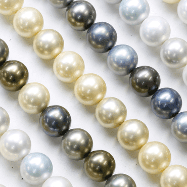 shell pearl MULTI