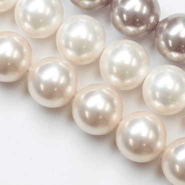 shell pearl single